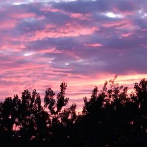 美少女光身体裸体露阴沟
