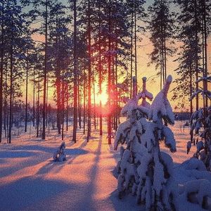 美少女光身体裸体露阴沟
