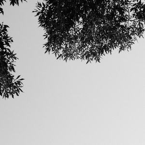 美少女光身体裸体露阴沟
